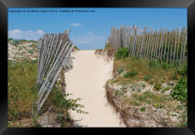 Path between the dunes in Brittany Framed Print by aurélie le moigne