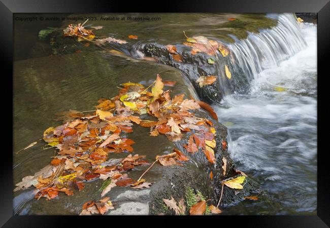 Dead leaves on a river Framed Print by aurélie le moigne