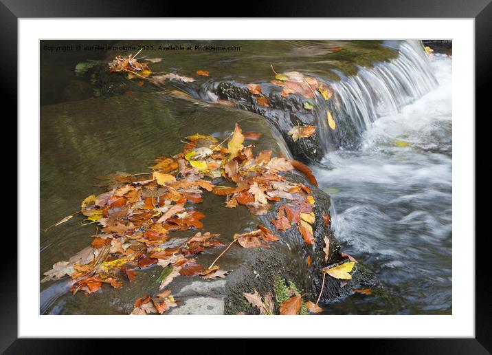 Dead leaves on a river Framed Mounted Print by aurélie le moigne
