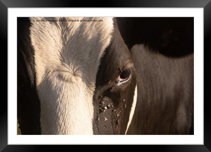Close-up on the eye of a Holstein cow Framed Mounted Print by aurélie le moigne