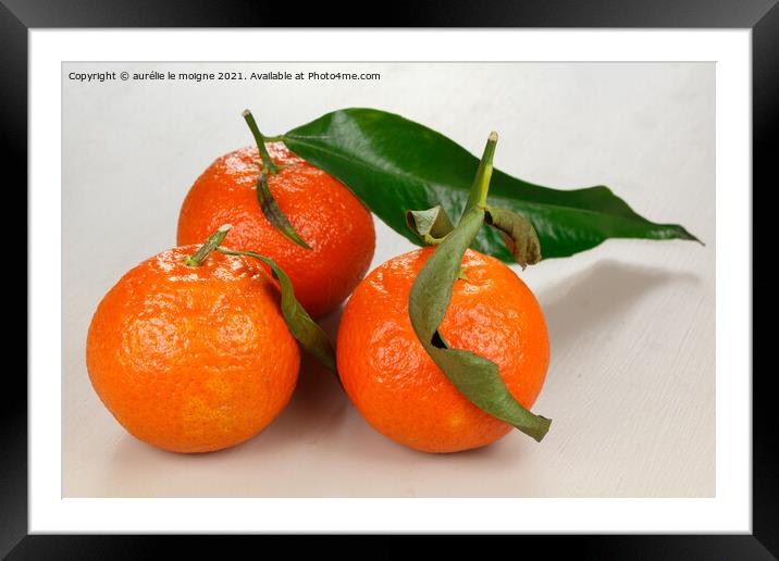 Corsican clementine with leaves Framed Mounted Print by aurélie le moigne
