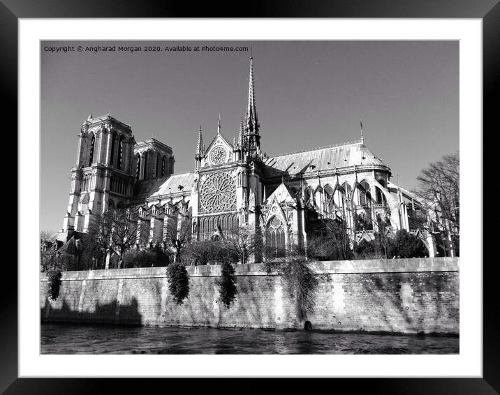 Notre Dame Cathedral  Framed Mounted Print by Angharad Morgan