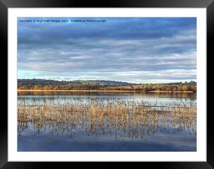 Winter sunshine on the lake Framed Mounted Print by Angharad Morgan