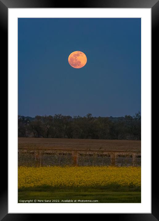 Pink Supermoon in April 2022 Framed Mounted Print by Pere Sanz