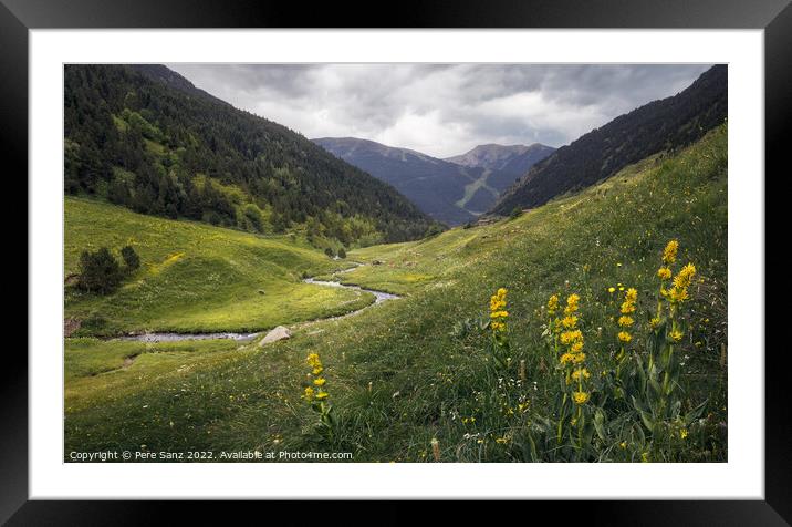 Wildflowers at Incles Valley in Andorra Framed Mounted Print by Pere Sanz