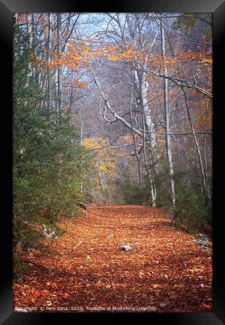 Path Across Woodlands in Autumn Framed Print by Pere Sanz