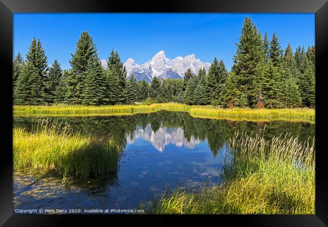Schwabacher landing with its reflection. Grand Teton national park, WY, USA Framed Print by Pere Sanz