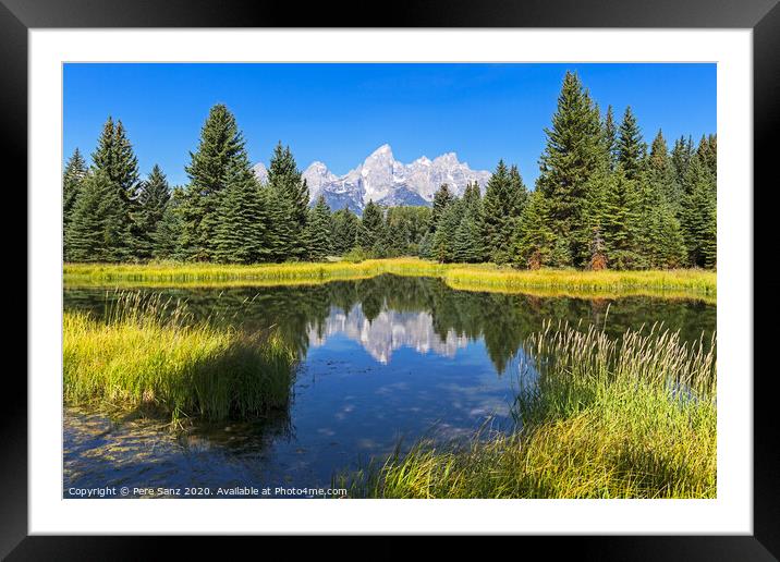 Schwabacher landing with its reflection. Grand Teton national park, WY, USA Framed Mounted Print by Pere Sanz