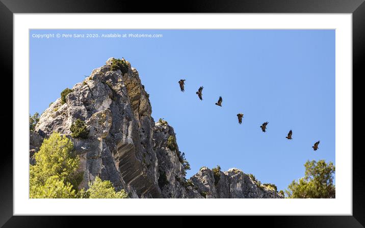 Sequence Showing the Flight of a Vulture Taking off from a Rocky Promontory Framed Mounted Print by Pere Sanz