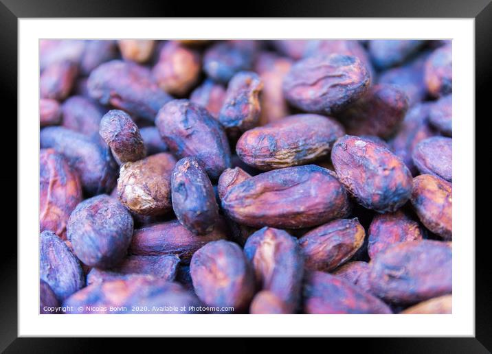 Macro of cacao seeds from Guadeloupe Framed Mounted Print by Nicolas Boivin