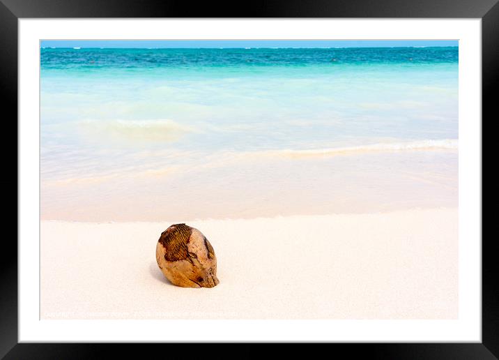Coconut on caribbean white sand with turquoise sea Framed Mounted Print by Nicolas Boivin