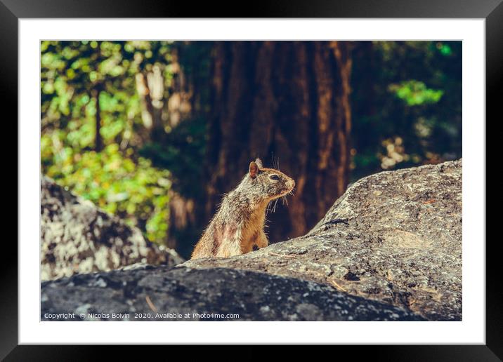 Yosemite National Park Framed Mounted Print by Nicolas Boivin