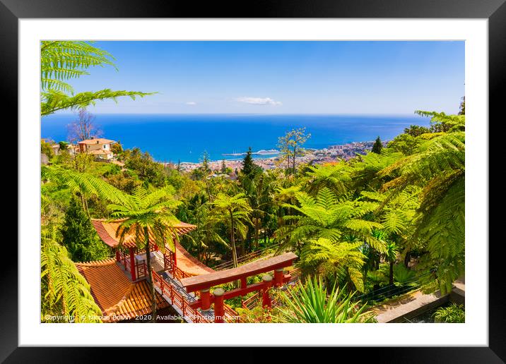 Botanical garden in Funchal Framed Mounted Print by Nicolas Boivin