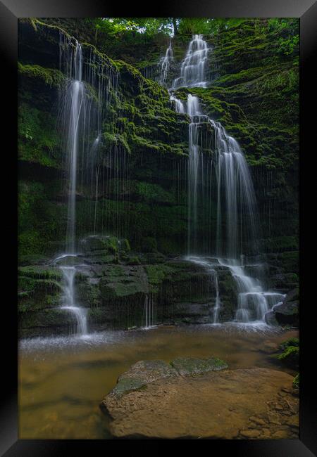 Scaleber Force Framed Print by Kevin Winter