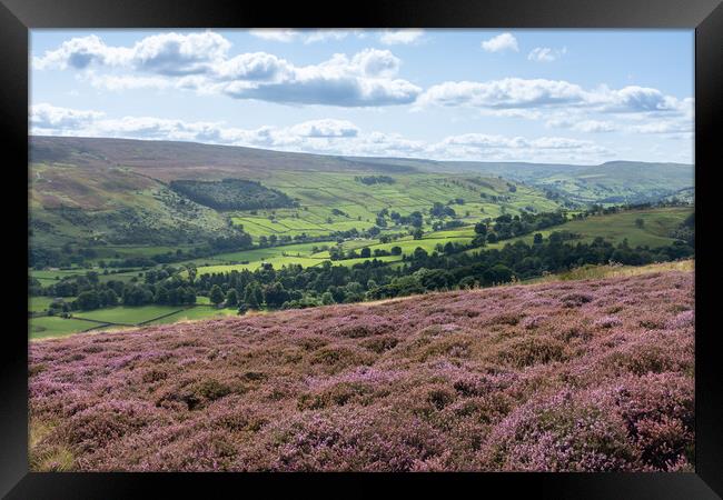 Yorkshire Dales in Bloom Framed Print by Kevin Winter