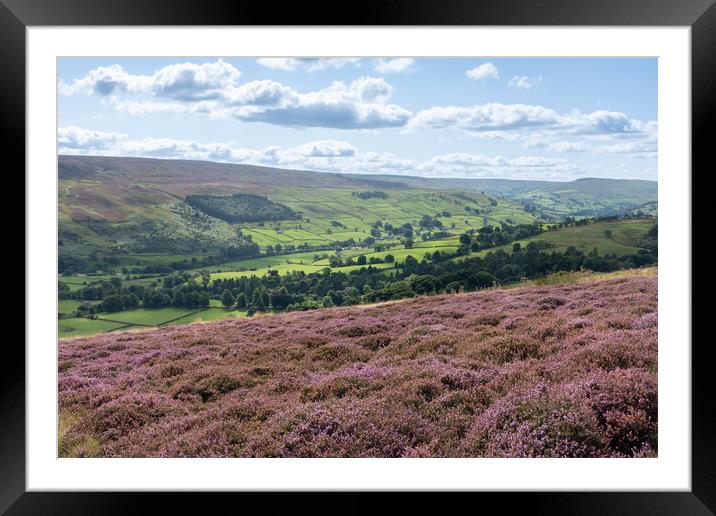 Yorkshire Dales in Bloom Framed Mounted Print by Kevin Winter