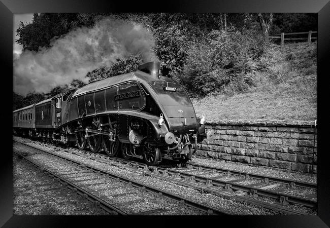 Sir Nigel Gresley steam train steaming in to Goath Framed Print by Kevin Winter
