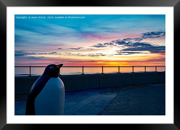 Penguin Promenade Framed Mounted Print by Kevin Winter