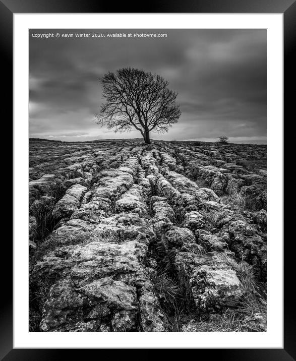 Malham Tree in Black and white Framed Mounted Print by Kevin Winter