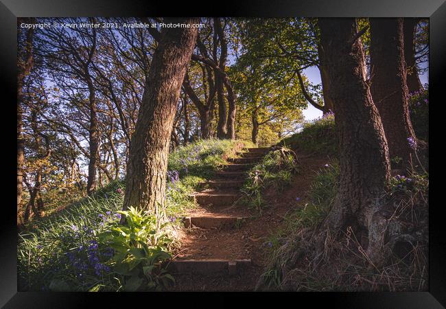 Steps to the Bluebells Framed Print by Kevin Winter