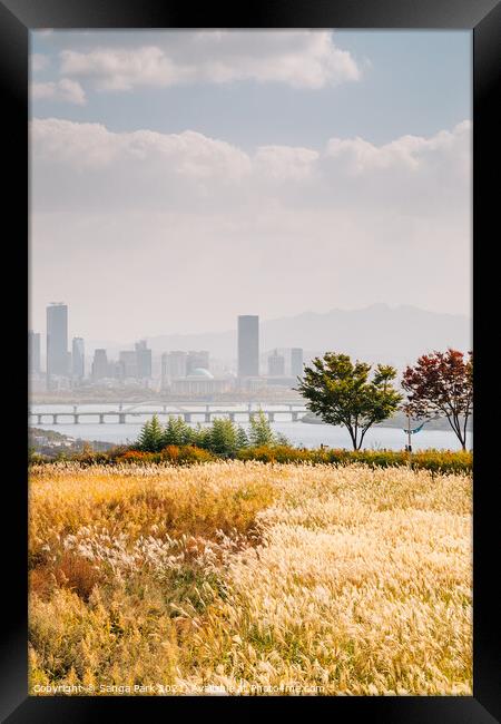 View of Seoul city and autumn of Sky park Framed Print by Sanga Park