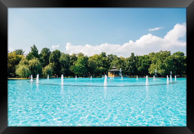 Singing Fountains in Plovdiv Framed Print by Sanga Park