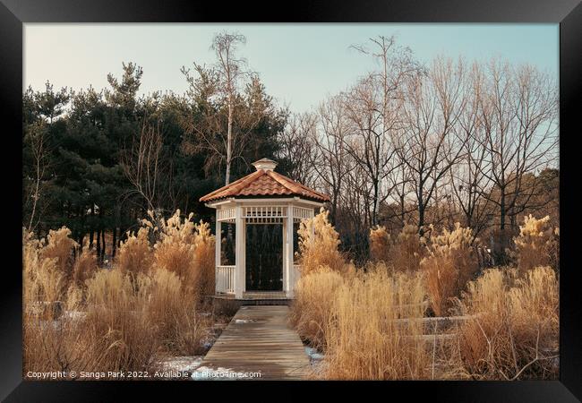 Winter of Seoul Forest Park in Korea Framed Print by Sanga Park
