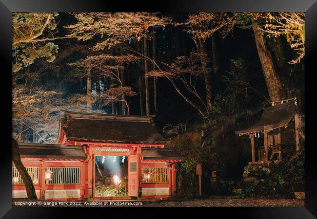 Night view of Japanese shrine Framed Print by Sanga Park