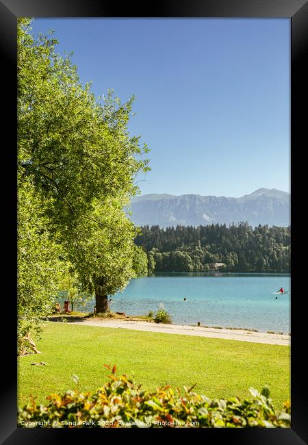 Lake Bled in Slovenia Framed Print by Sanga Park