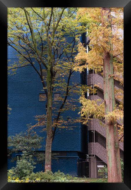 city park building Framed Print by Sanga Park