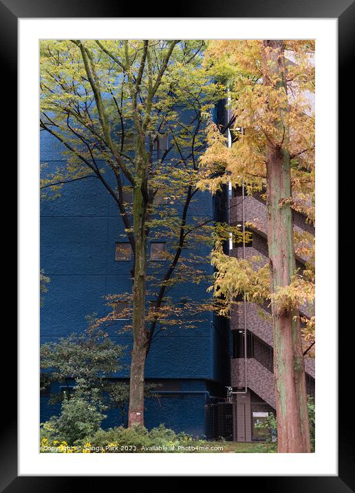 building and tree Framed Mounted Print by Sanga Park