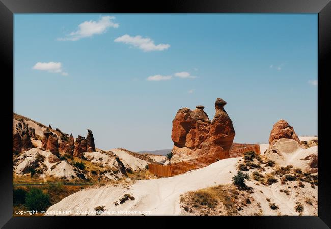 Cappadocia Camel rock Framed Print by Sanga Park