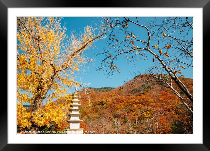 Korean old temple and autumn mountain Framed Mounted Print by Sanga Park