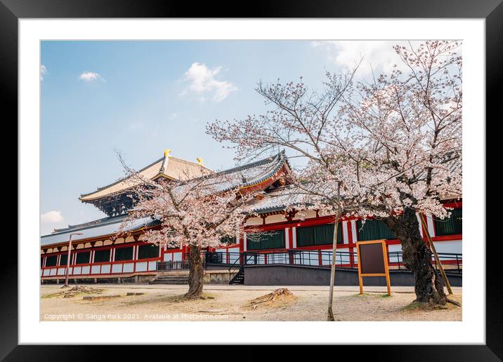 Todai-ji temple with cherry blossom Framed Mounted Print by Sanga Park