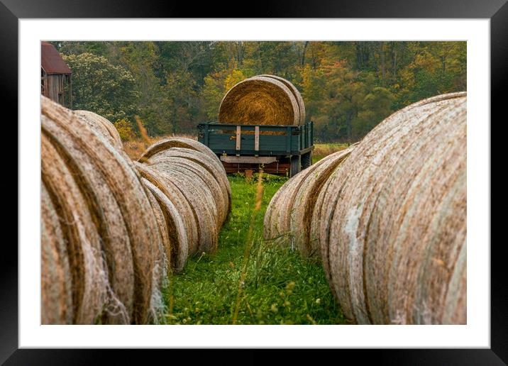 Autumn Harvest - Needle in a haystack Framed Mounted Print by Blok Photo 