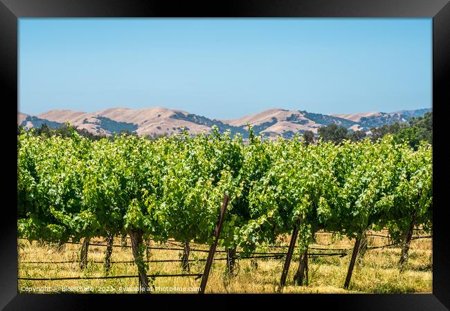 California Wine country - Panoramic Framed Print by Blok Photo 