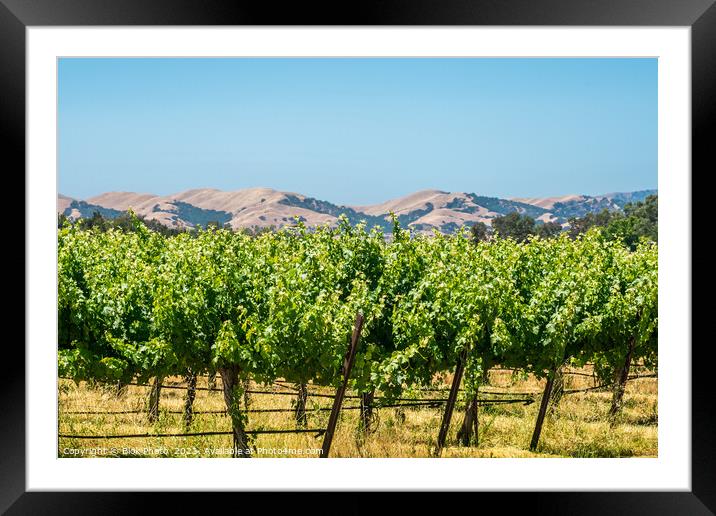 California Wine country - Panoramic Framed Mounted Print by Blok Photo 