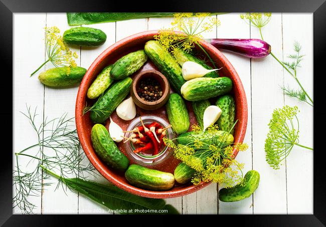 Homemade cucumber pickling and ingredients Framed Print by Mykola Lunov Mykola