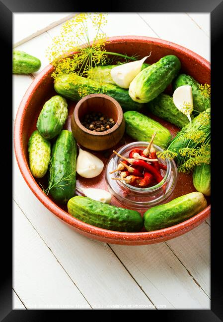 Homemade cucumber pickling and ingredients Framed Print by Mykola Lunov Mykola