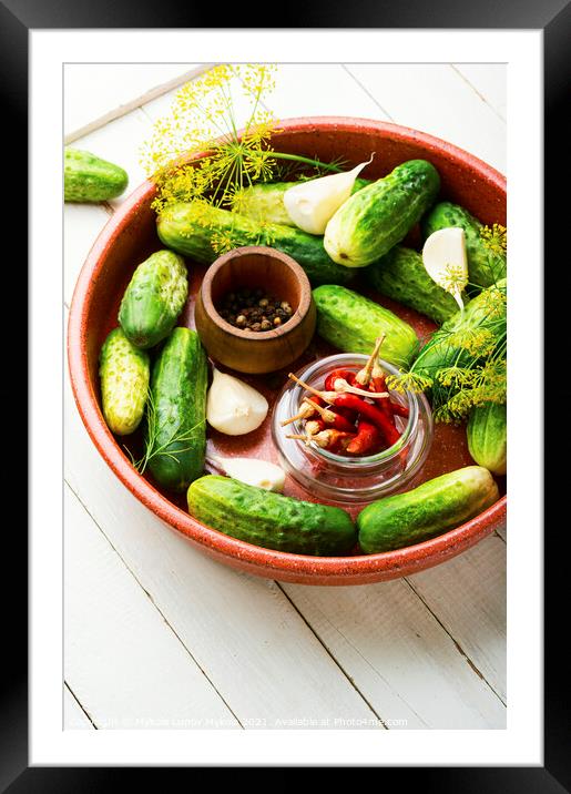 Homemade cucumber pickling and ingredients Framed Mounted Print by Mykola Lunov Mykola