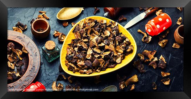 Dried mushrooms and cooking utensils Framed Print by Mykola Lunov Mykola