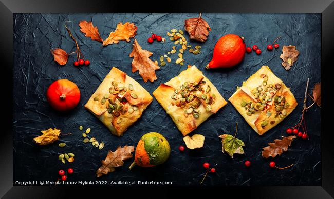 Sweet pumpkin baked,seasonal food Framed Print by Mykola Lunov Mykola