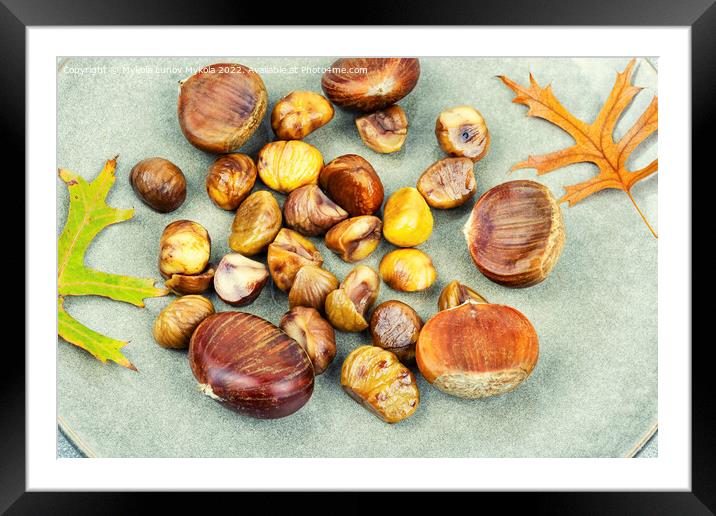 Roasted peeled chestnuts,close up Framed Mounted Print by Mykola Lunov Mykola