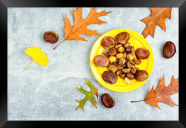 Peeled roasted chestnuts, appetizing dessert. Framed Print by Mykola Lunov Mykola
