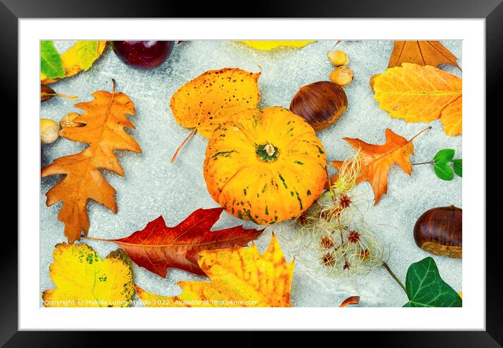 Herbarium of autumn leaves. Framed Mounted Print by Mykola Lunov Mykola