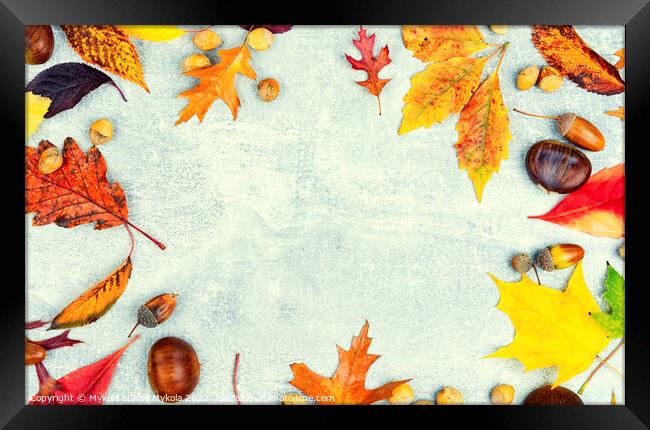 Herbarium of autumn leaves. Framed Print by Mykola Lunov Mykola