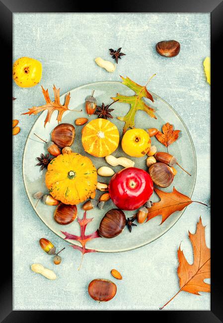 Autumn food, pumpkins and nuts. Framed Print by Mykola Lunov Mykola