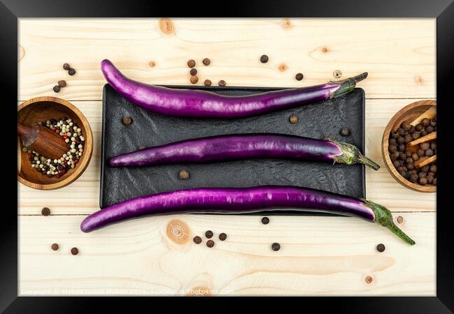 Small fresh purple eggplants Framed Print by Mykola Lunov Mykola