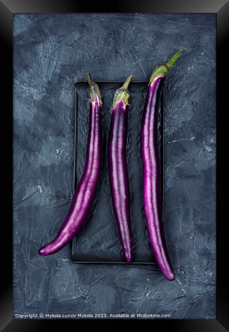 Small purple Asian eggplants, aubergine Framed Print by Mykola Lunov Mykola