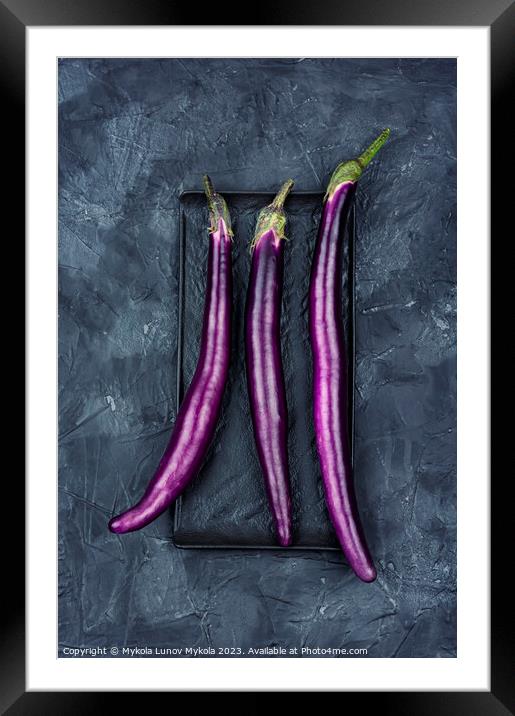 Small purple Asian eggplants, aubergine Framed Mounted Print by Mykola Lunov Mykola